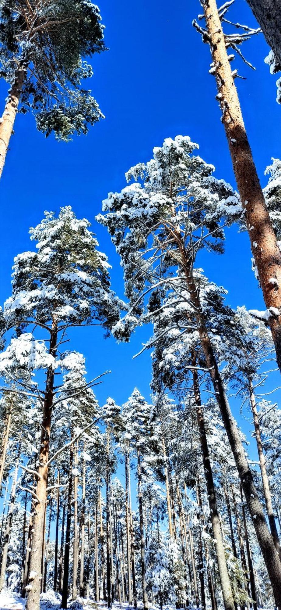 Las Colmenillas 1 Траґасете Екстер'єр фото