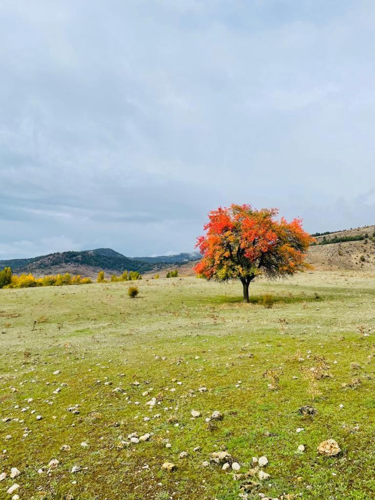 Las Colmenillas 1 Траґасете Екстер'єр фото
